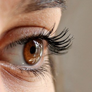 Lash Extensions - Full Set Photo